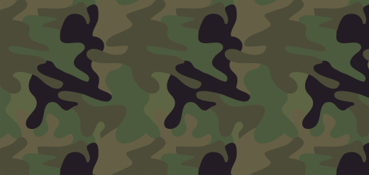 323998 (a): :4000x1900